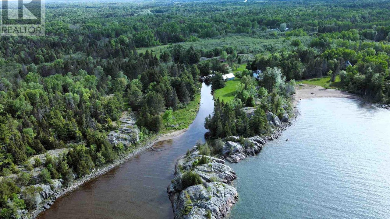 Illustrative rural forest site under consideration for the Build Project